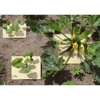 Photo de Dalle Tisse Bio 100x100.