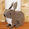 Photo de Protection Lapin 0.50 Biodégradable Papier Kraft.