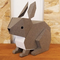 Photo produit - Protection lapin protec tree (feuille de hêtre) 60  cm diam 14